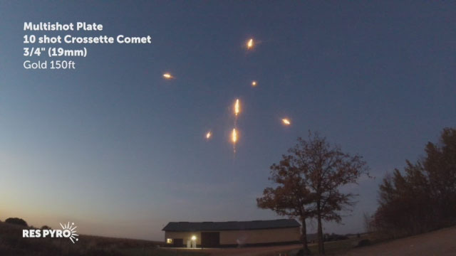 MSP 19mm Crossette Comet Gold 150ft